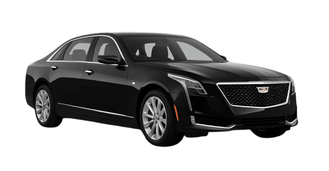 Executive Sedan