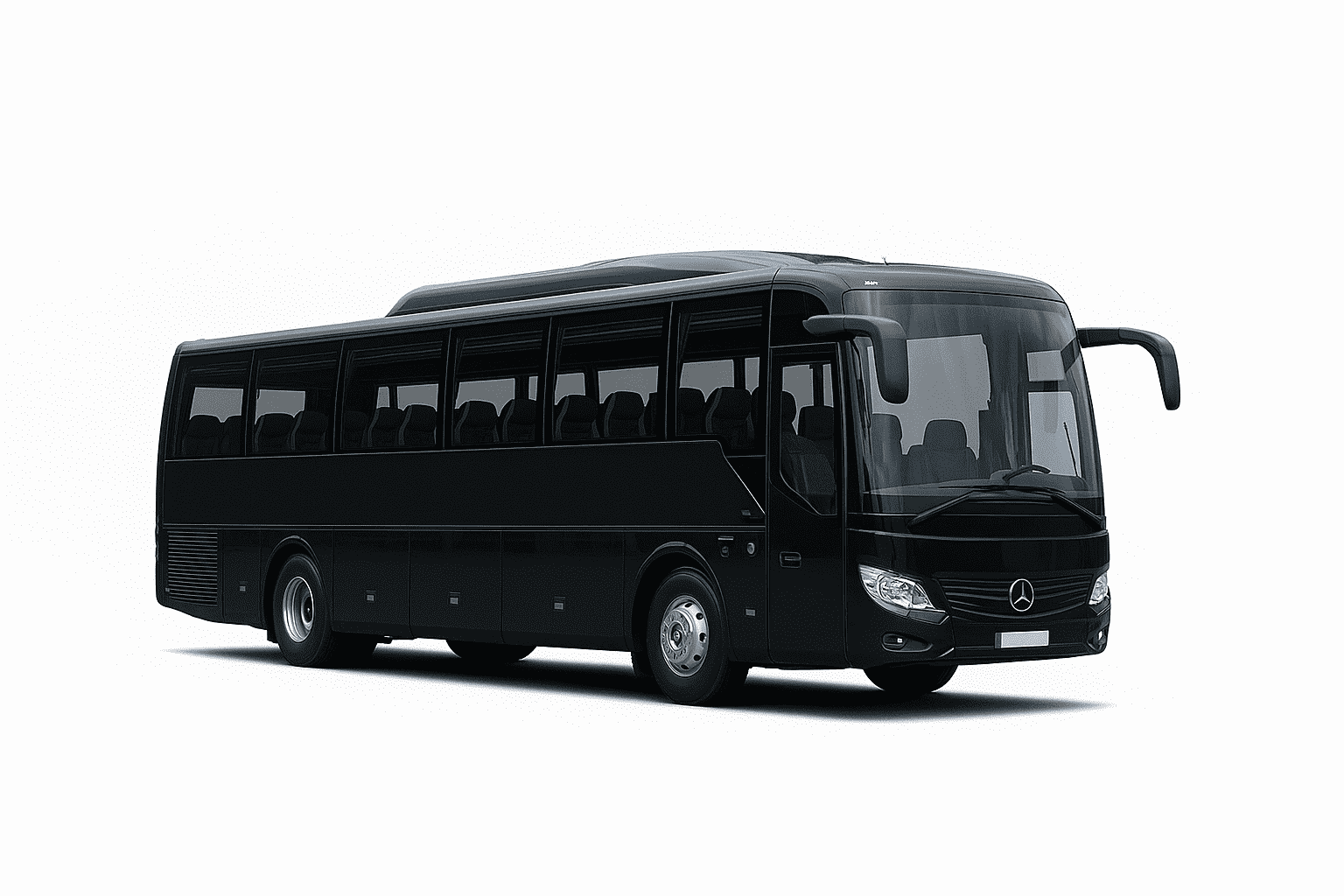 Coach/Corporate/Party Bus